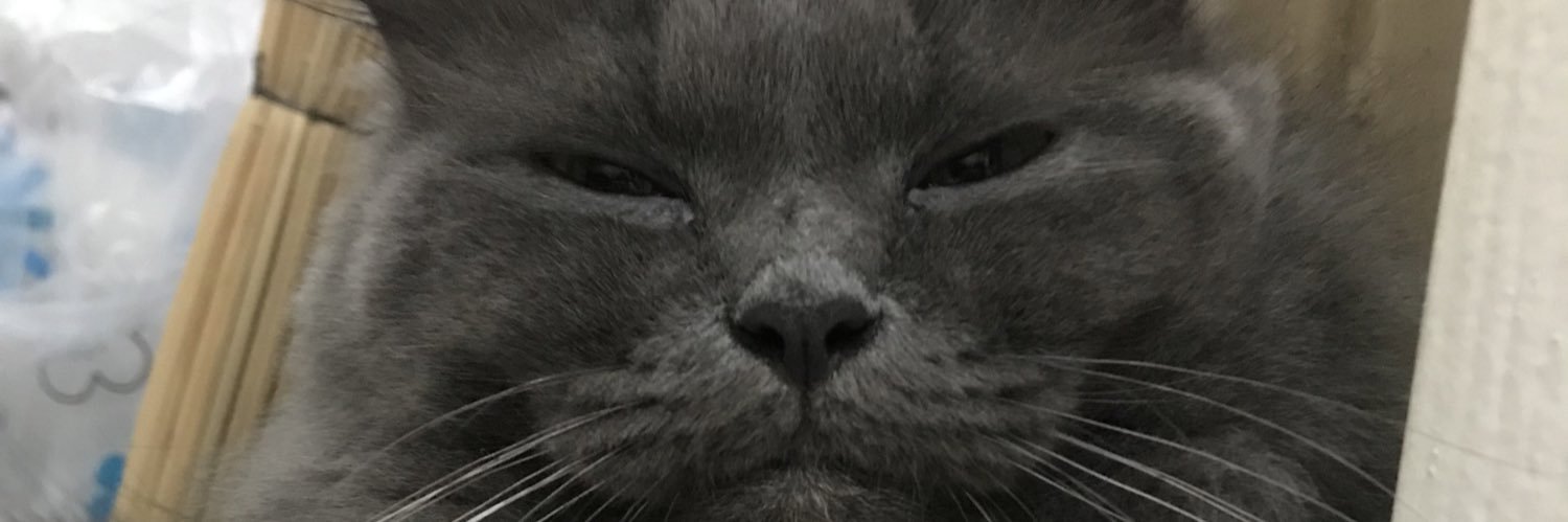 shellsgn's profile banner image