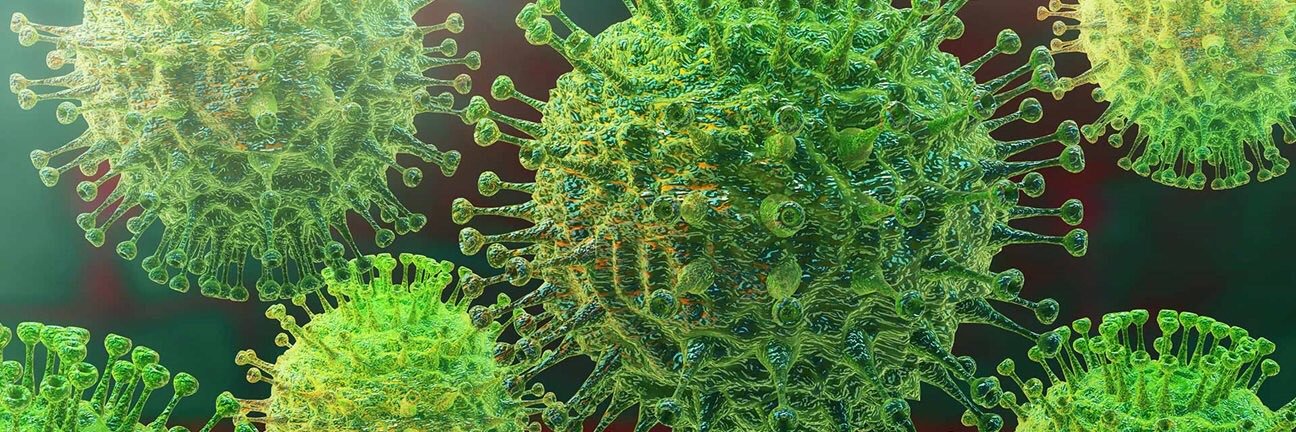 José Campillo banner