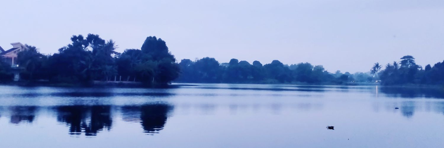 renaldi_rendy's profile banner image