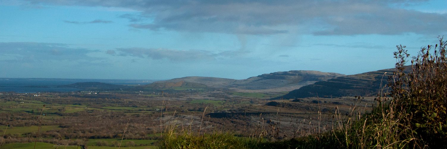 burrenvet's profile banner image