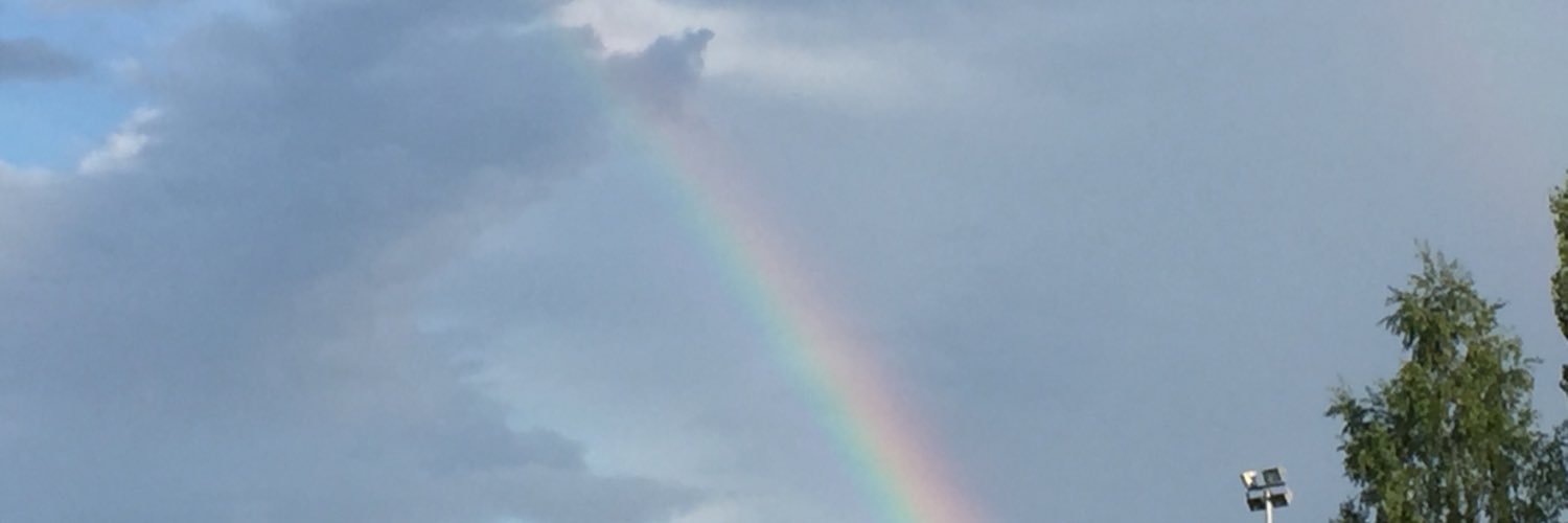 PiaVarila's profile banner image