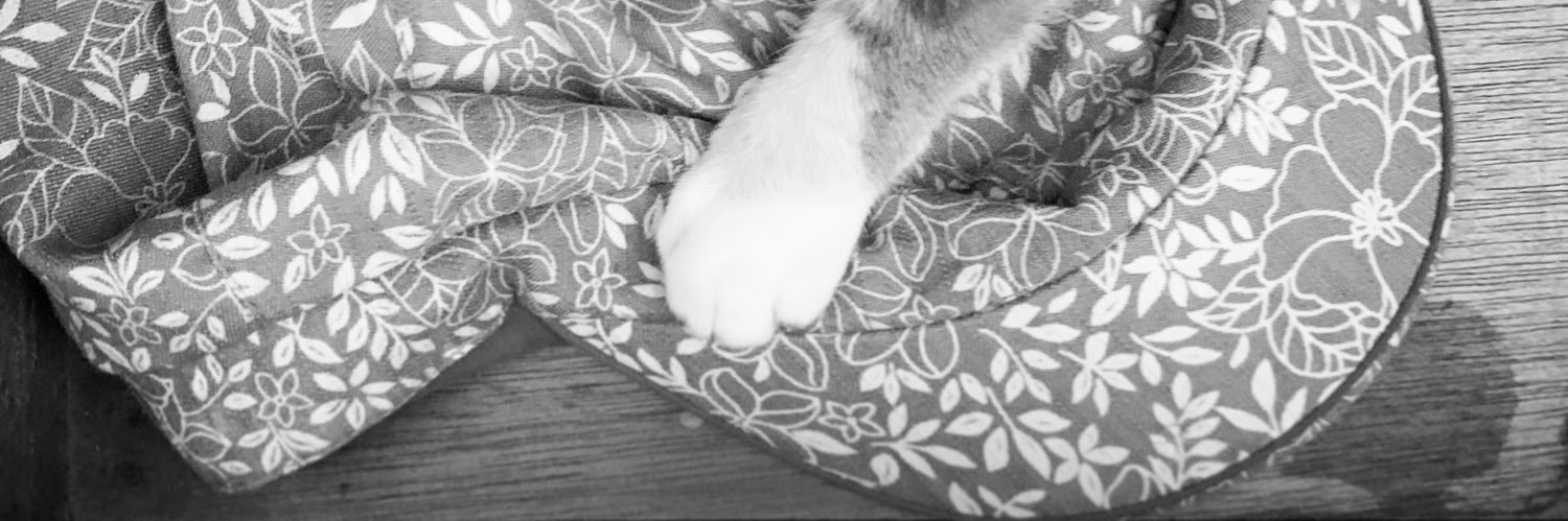 SuedoNimm's profile banner image