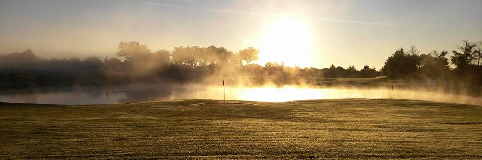 Morgan 🌻⚛️🌻 banner