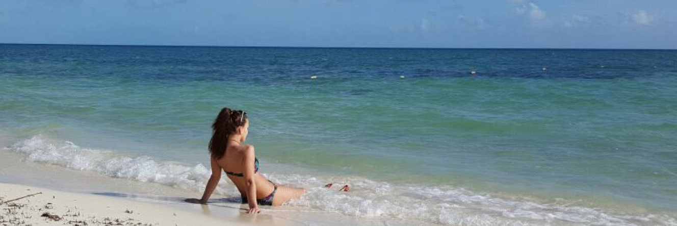 . banner