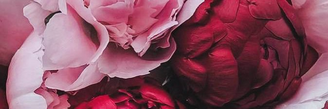 NiceGomez22's profile banner image