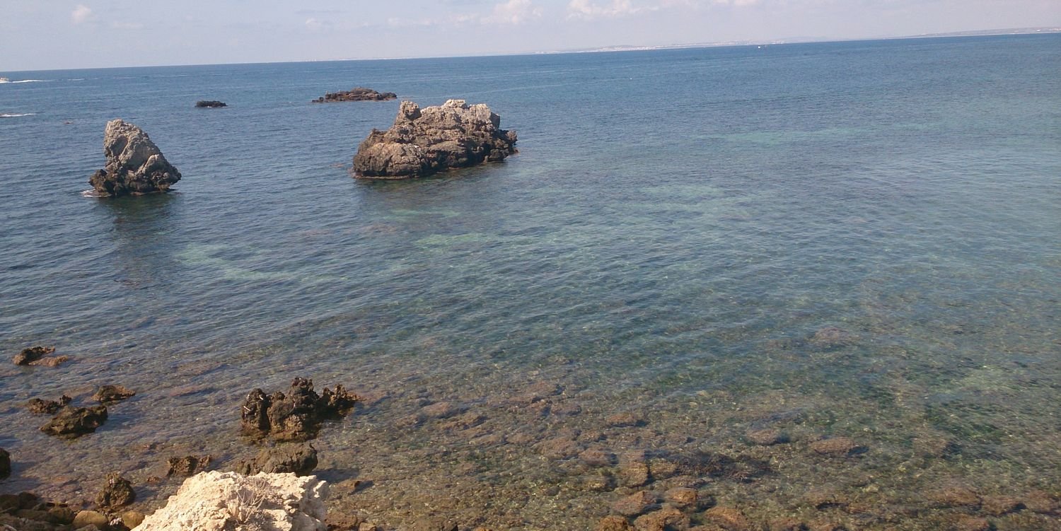 thais garcia prieto banner