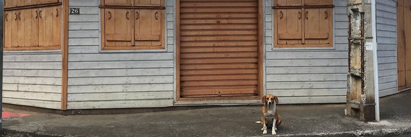 SimonBarbarit Profile Banner