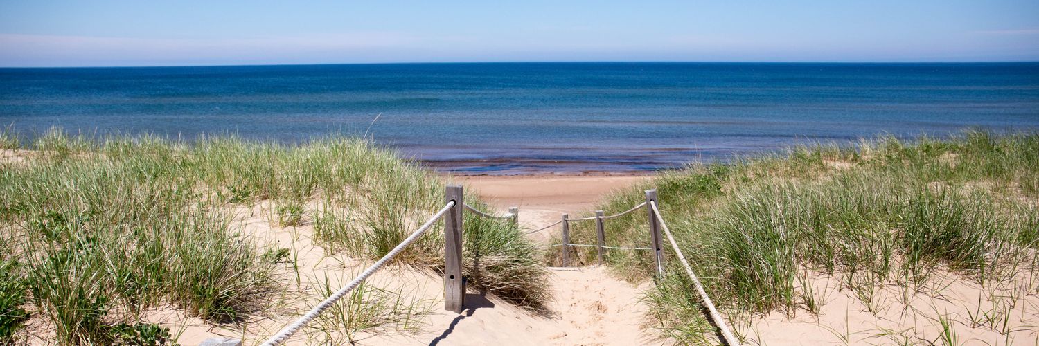 Catherine Boaden banner