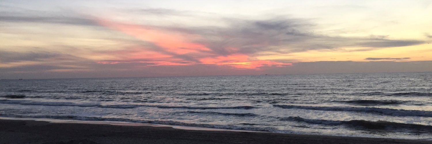 Erwin de Koster banner