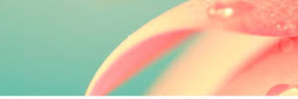 MandCass's profile banner image
