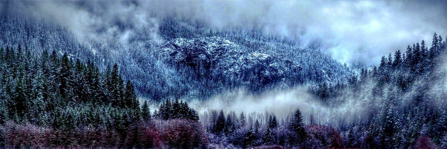 Donna | 💜🔮👻 banner