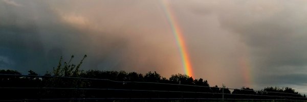 SebForrester Profile Banner