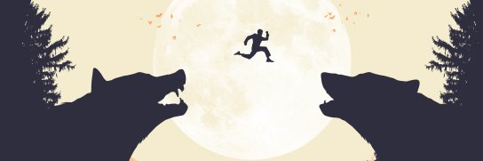 José Luiz Silva banner