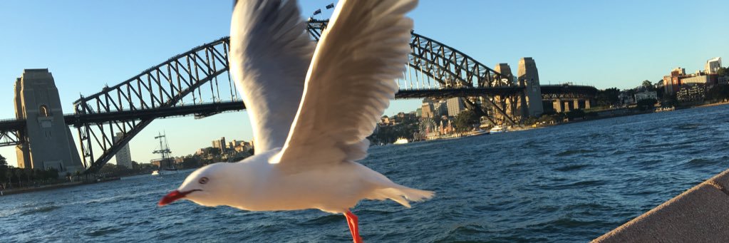 Bhavani Giddu banner