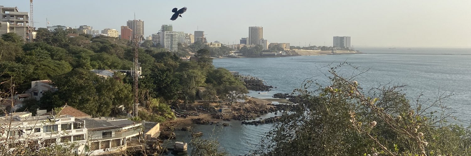 Y_Sall's profile banner image