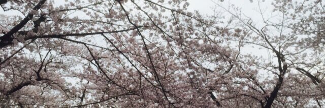 Bz_ryuke's profile banner image
