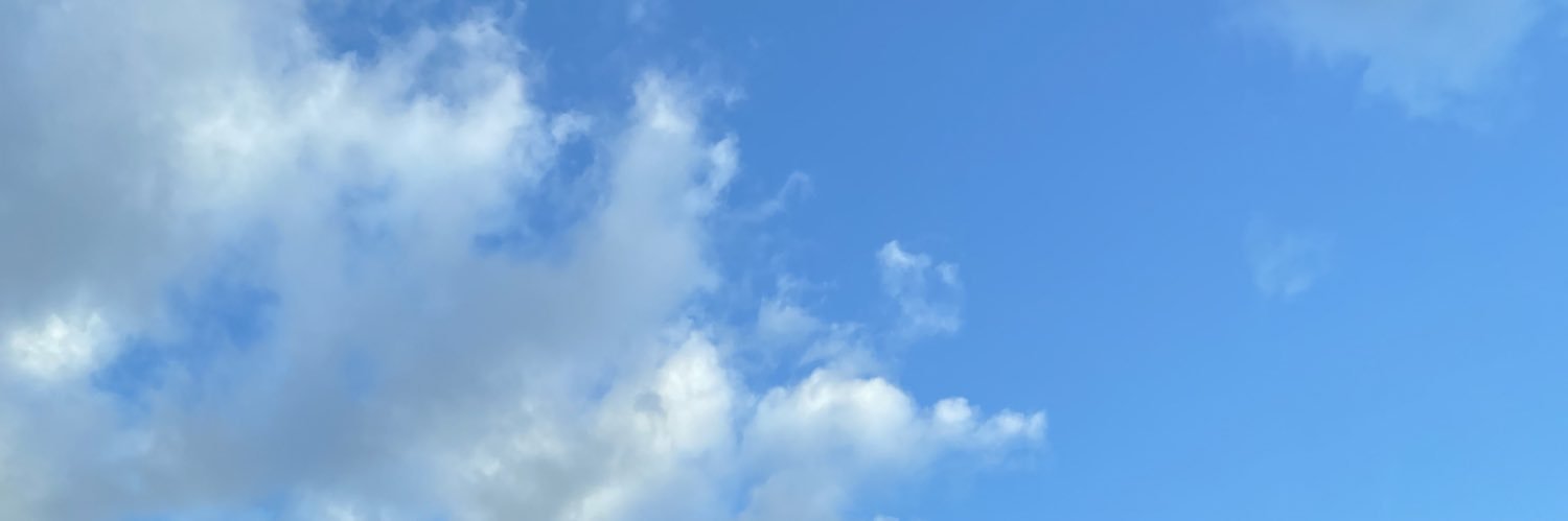 johnsonsgeese's profile banner image