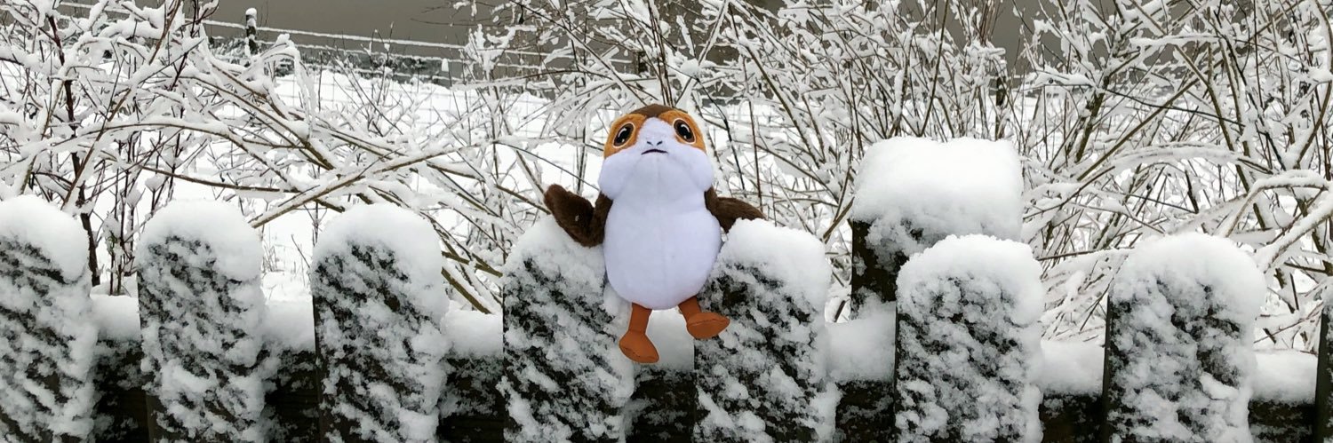 DailyUgly's profile banner image