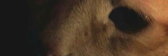grazygal's profile banner image