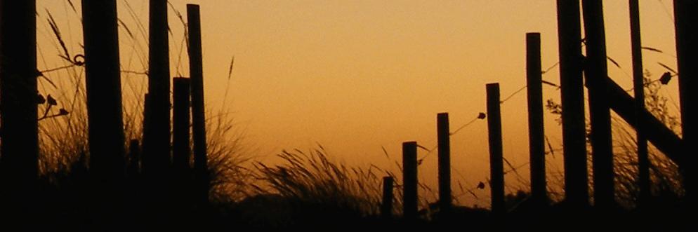 yriveiro's profile banner image