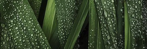 tya767's profile banner image