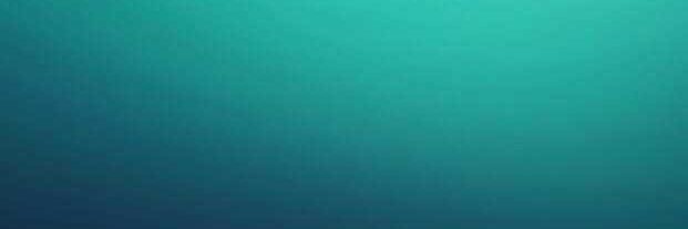 SChingtham's profile banner image
