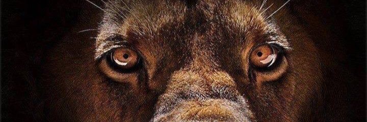 JonesIeuan's profile banner image