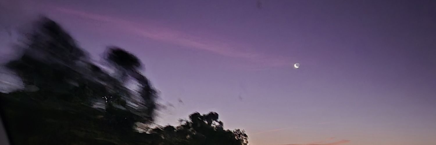 😘Mother Hen banner