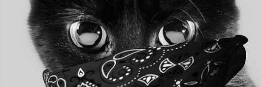 cheyenne154's profile banner image