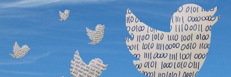 dilsoncaproni's profile banner image
