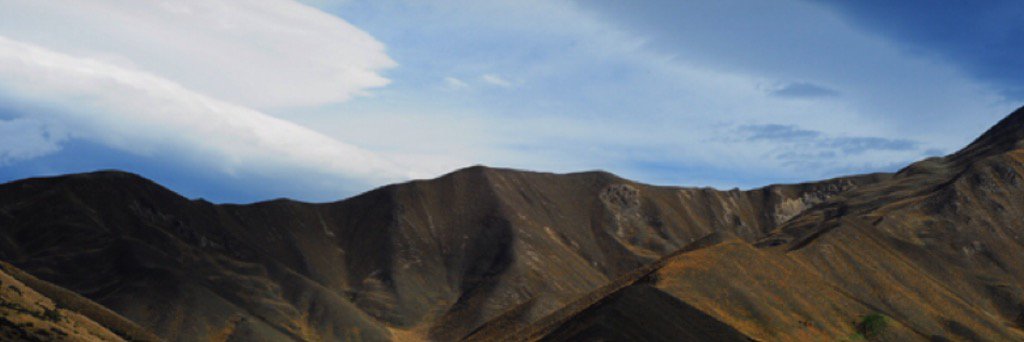 reza.s banner