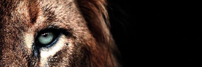 Andreu Castro banner