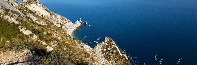 FabiaBuglioni's profile banner image
