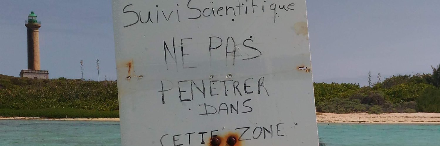 Christelle CCL banner