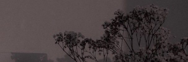 peerapat_tum's profile banner image