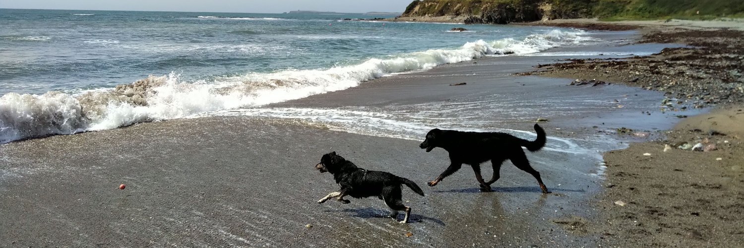 stephen walsh banner