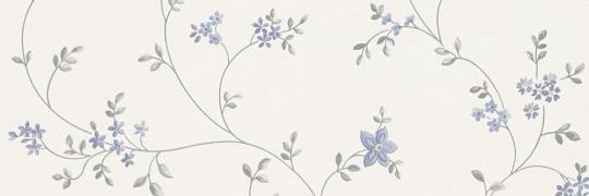 Ginger⭐ FREE FANSLY banner