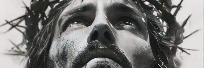 DrCBojorquez's profile banner image