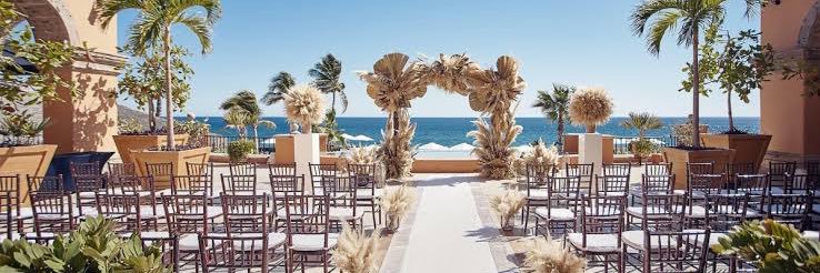 Destination Wedding Specialist Assn banner