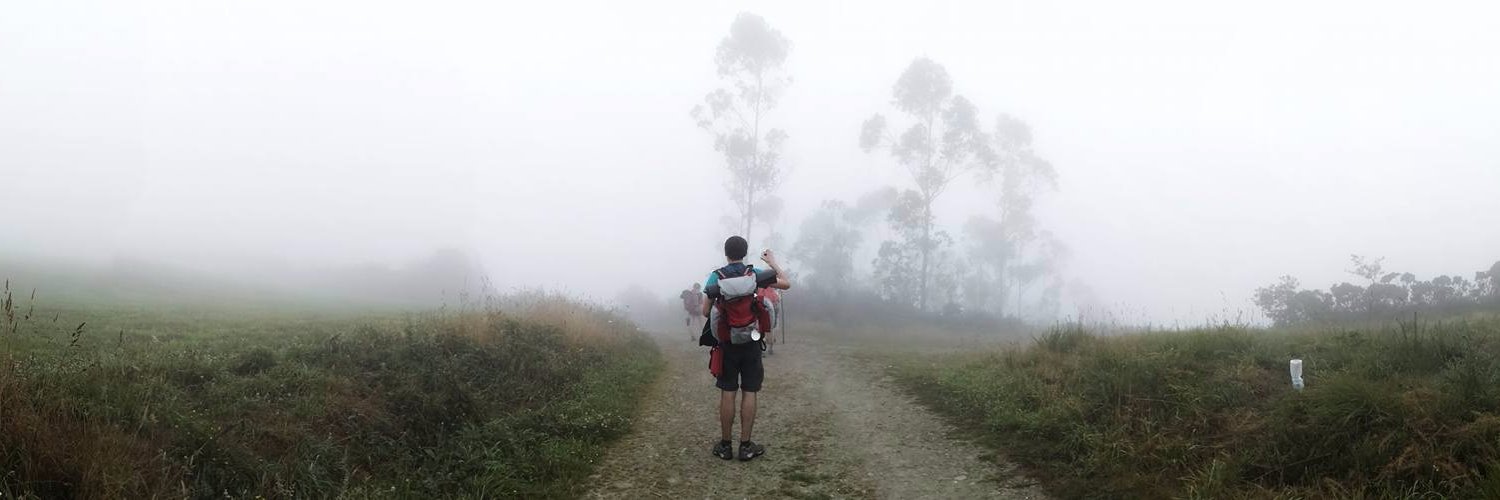 Simone Tolomei banner