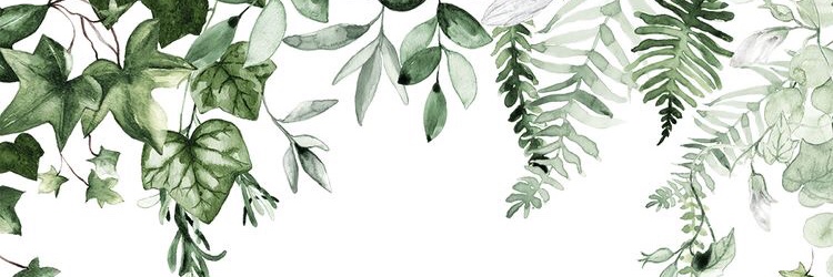 Florrie5000's profile banner image