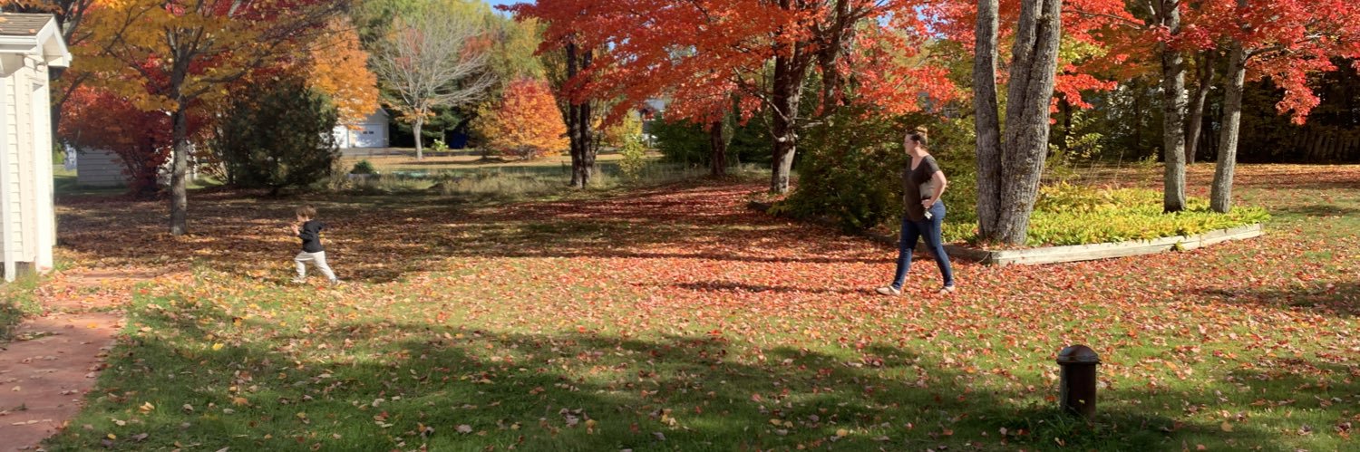 Sandenn 🇨🇦 banner