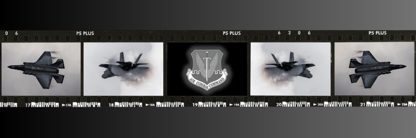 Air Combat Command's banner