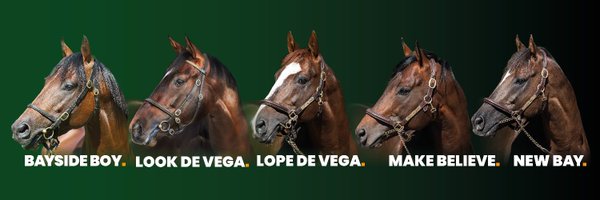 BallylinchStud Profile Banner