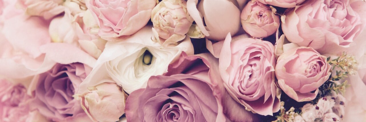 chloepond's profile banner image