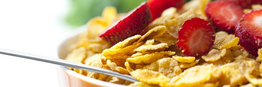 BreakfastIsBest's profile banner image
