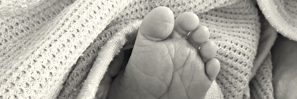 CharlotteRowe's profile banner image