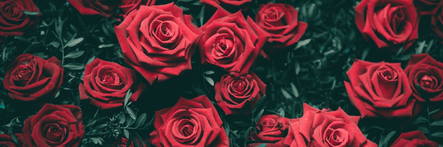 Danielle_Trev's profile banner image