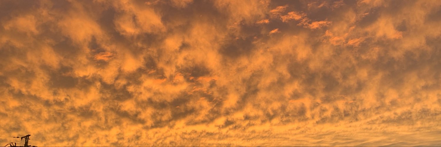 mau_blcat's profile banner image