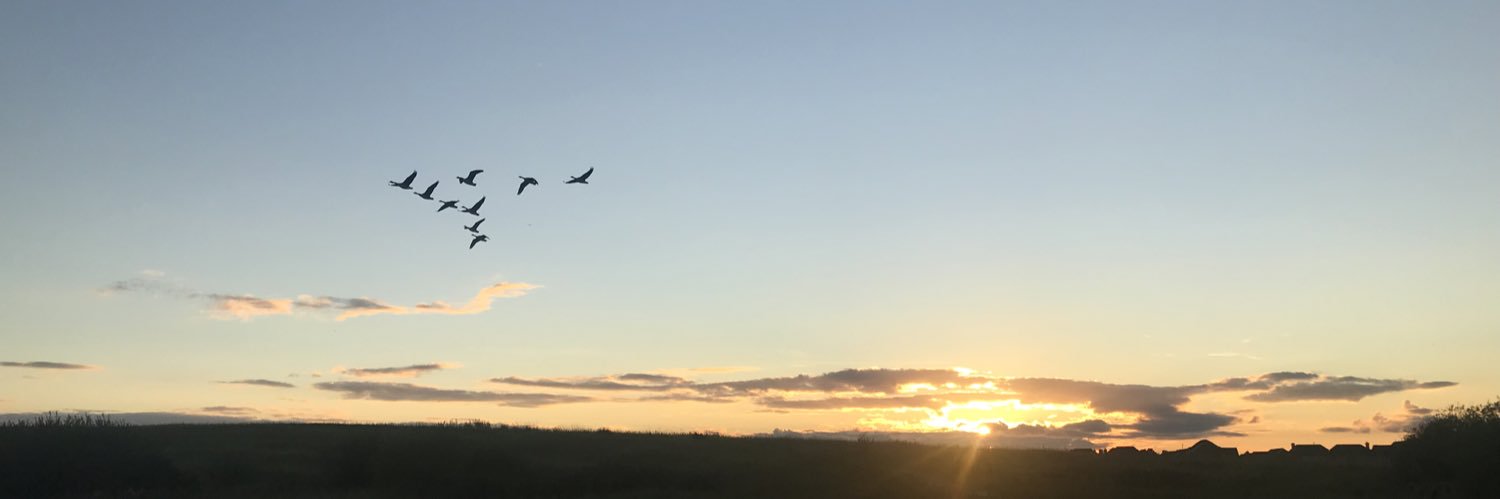 Curlycolonel's profile banner image